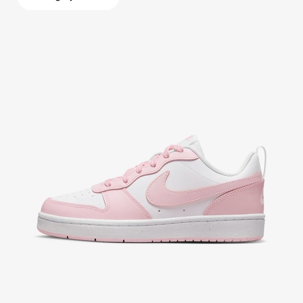 Nike Court Borough Low 2 SE